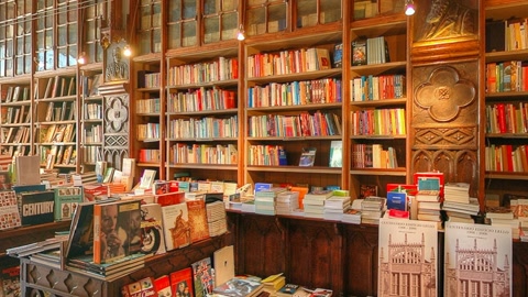 Bookstore interior with red staircase — Stillmotion