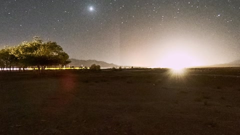 Starry desert with sparse vegetation — Stillmotion