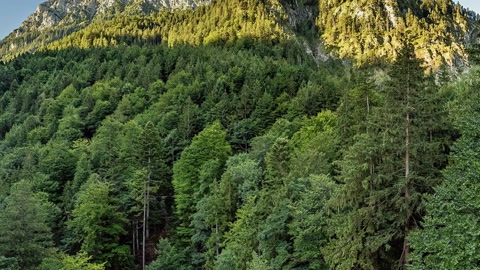 Mountain forest castle valley view — Stillmotion