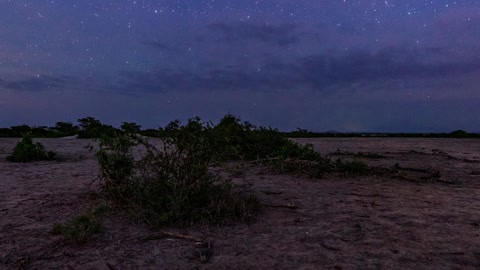 Starry night over open plain — Stillmotion