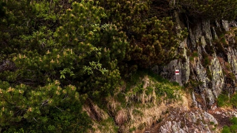 Mountain trail along rocky cliffs — Stillmotion