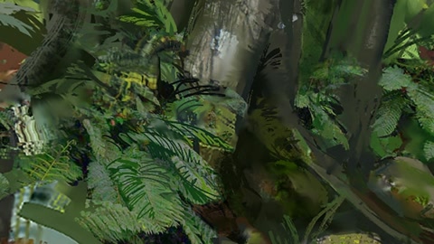 Dense rainforest with foggy canopy — Stillmotion
