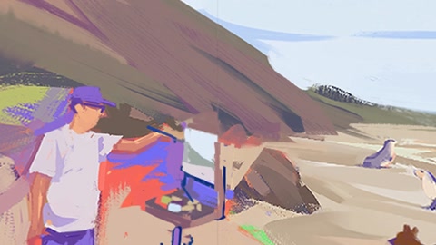 Sandy coastal desert with rocks — Stillmotion