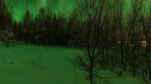 Aurora in the backyard, Norway — Stillmotion
