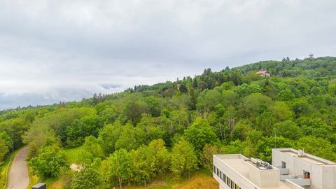 Cloudy valley overlook with forested hills — Stillmotion