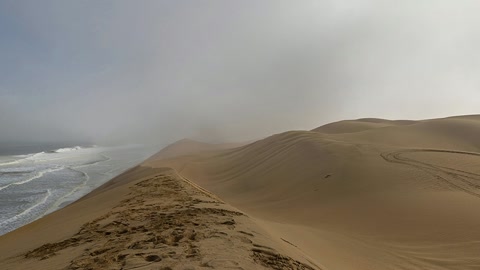 Dunes beside the ocean — Stillmotion