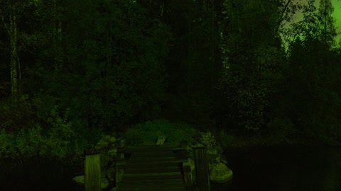 Aurora over forest lake — Stillmotion