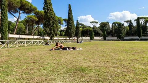 Garden park with grass and trees — Stillmotion