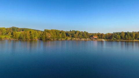 Calm lake with forest shoreline — Stillmotion