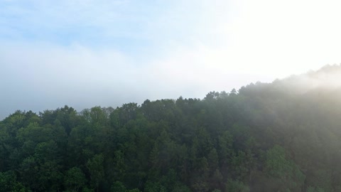 Fog over river valley landscape — Stillmotion