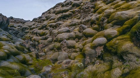 Moss-covered rocky coast — Stillmotion