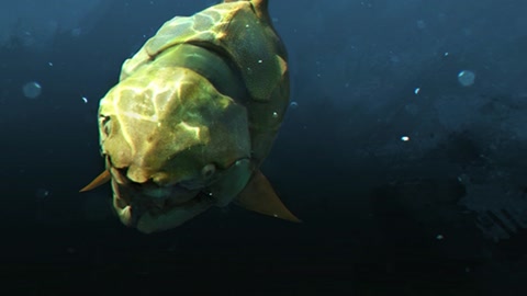 Underwater fish and coral scene — Stillmotion
