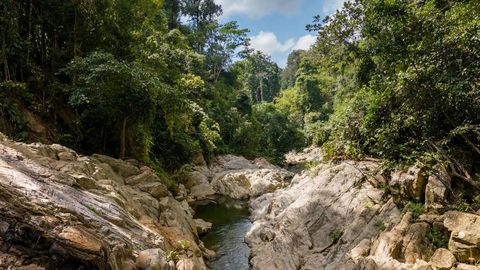 Rocky forest waterfall — Stillmotion