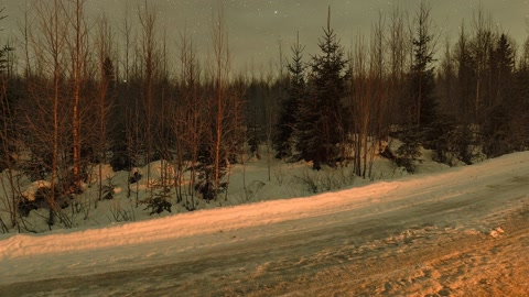 Snowy forest road at night — Stillmotion