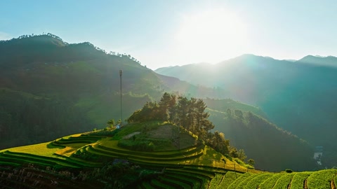 Terraced rice fields on mountainside — Stillmotion