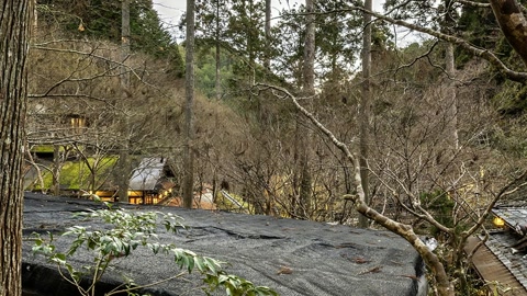 Forest lodge with lit pathways — Stillmotion