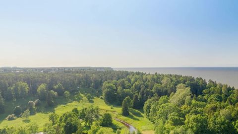 Tree farm by the coast — Stillmotion