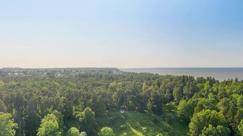 Pühajõgi River in Toila-Oru Park, Estonia — Stillmotion