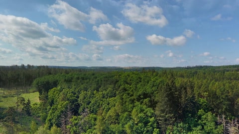 Forest landscape with lake and clouds — Stillmotion