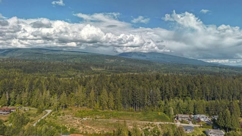 Aerial view over coastal forest and bay — Stillmotion