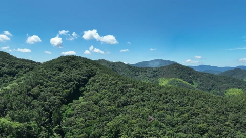 Tropical islet and coastal hills — Stillmotion