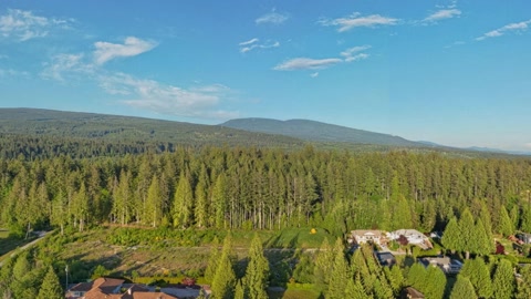Aerial view of coastal forest homes — Stillmotion