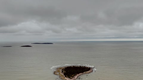 Cloudy beach with forested shoreline — Stillmotion