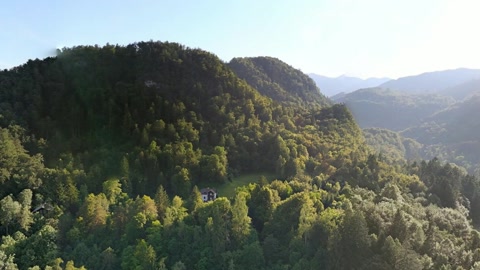 Mountain lake with wooded islands — Stillmotion