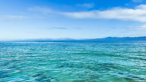 Tropical lagoon with palm trees — Stillmotion