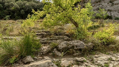 Roman aqueduct over river — Stillmotion