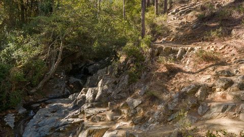 Wooded rocky hillside trail — Stillmotion