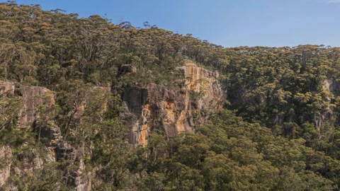 Forested canyon cliffs and waterfall — Stillmotion
