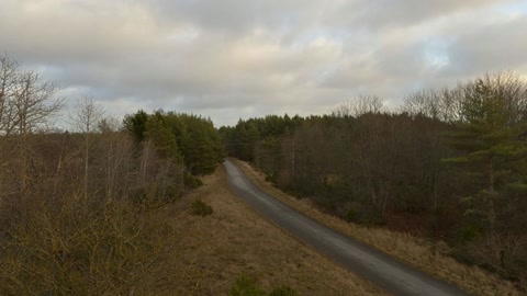 Wooded landscape with stone ruins — Stillmotion