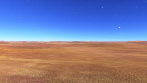 Dry wheat field under blue sky — Stillmotion