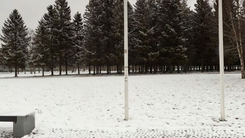 Snow-covered memorial crosses in park — Stillmotion