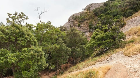 Rocky mountain landscape with trees — Stillmotion