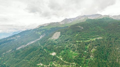 Cloudy mountain valley — Stillmotion