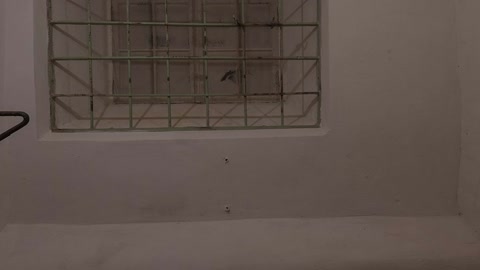 Dim interior with wall-mounted brackets — Stillmotion