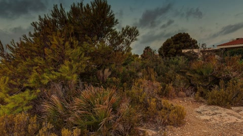 Cliffside coast at sunset — Stillmotion