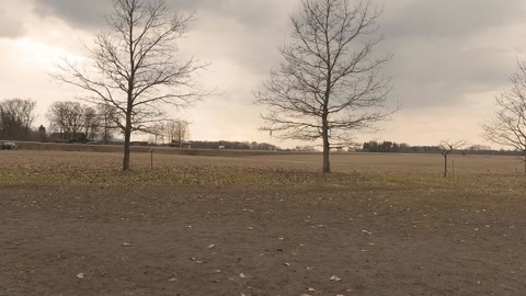Open pasture with stone sculptures — Stillmotion