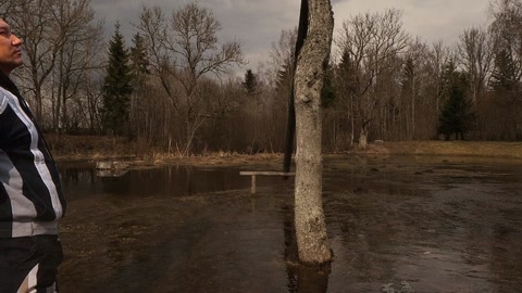 Flooded pond with cabins and trees — Stillmotion