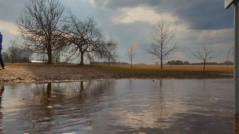 Flooded wooded swamp with cabins — Stillmotion