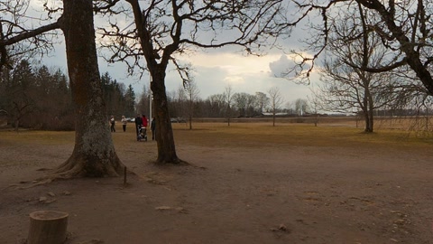 Flooded wooded park with information board — Stillmotion