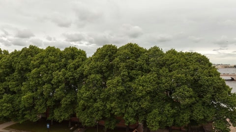 Viewing platform "Nevskaya Panorama" St. — Stillmotion