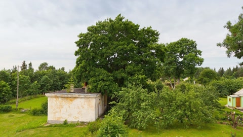 Wooded garden with small houses — Stillmotion