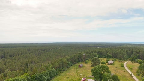 Tree farm beneath cloudy sky — Stillmotion