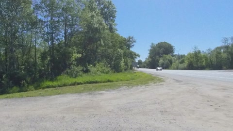 Wild roadside clearing — Stillmotion