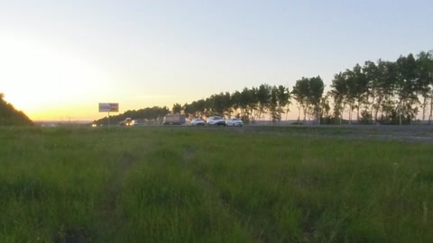 Grassy field near sunset with trees — Stillmotion