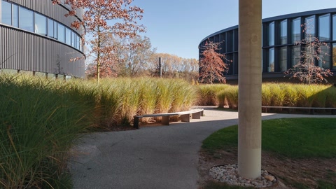 Outside ESO Headquarters in autumn — Stillmotion