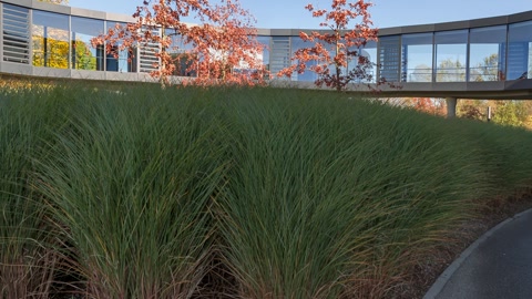 Autumn day at ESO Headquarters — Stillmotion